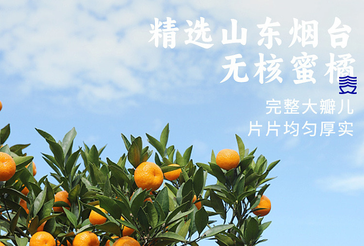 sanguan-six-wharf-dried-orange-138g-5