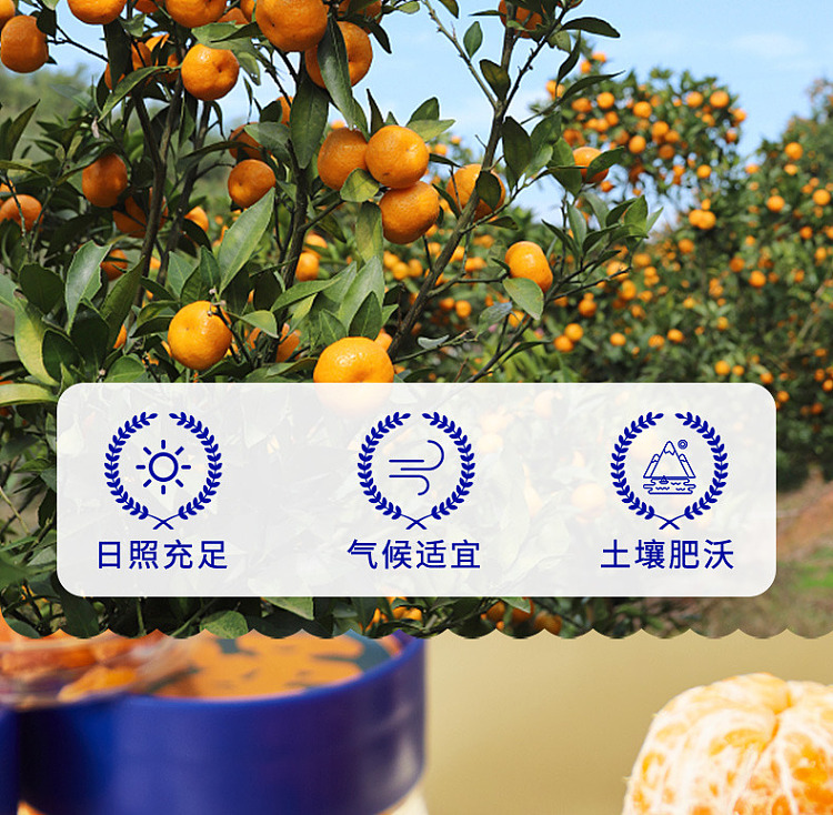 sanguan-six-wharf-dried-orange-138g-6
