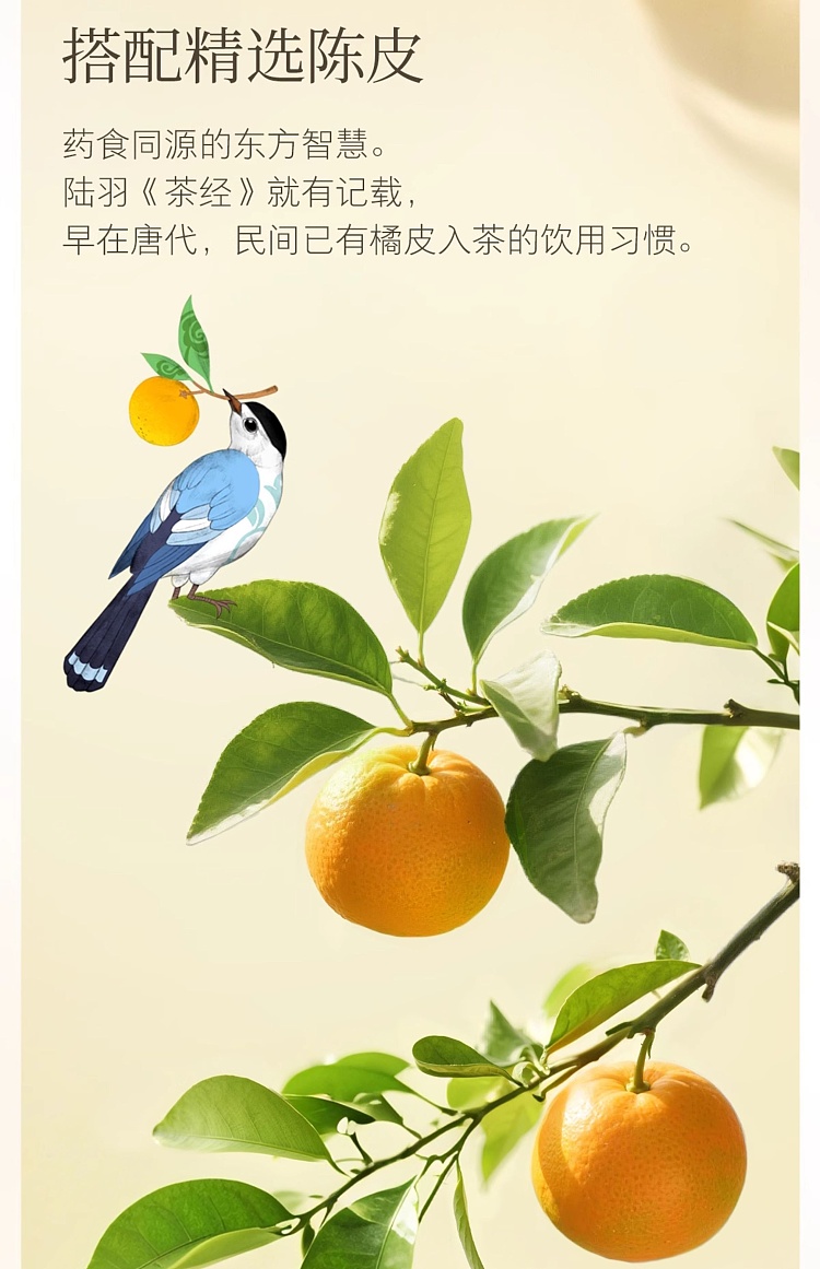 nongfusanquan-oriental-tree-leaf-chenpi-white-tea-500ml-9