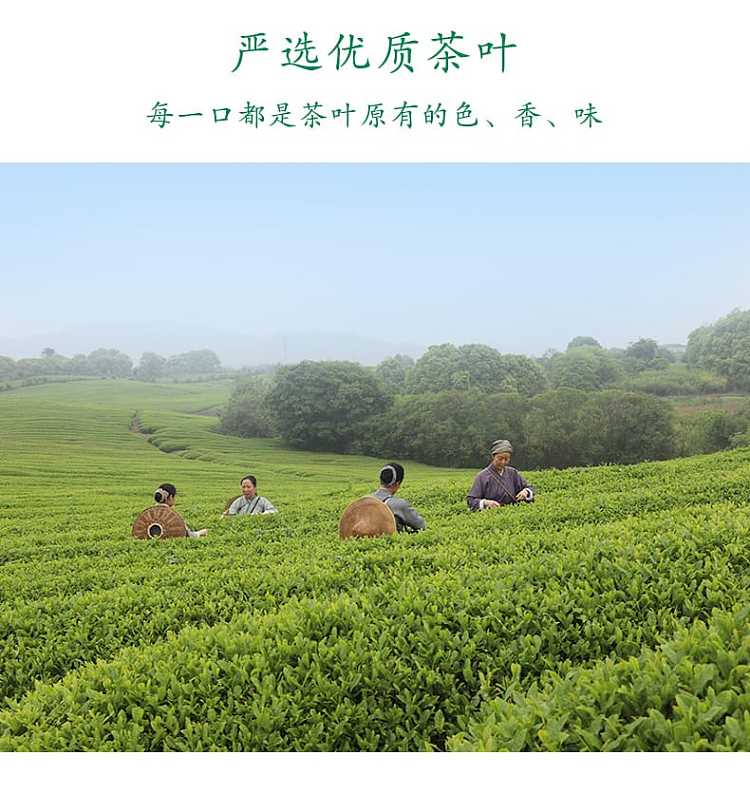 full-casenongfu-mountain-spring-oriental-leaf-qingkang-puer-500ml15-bottles-case-3