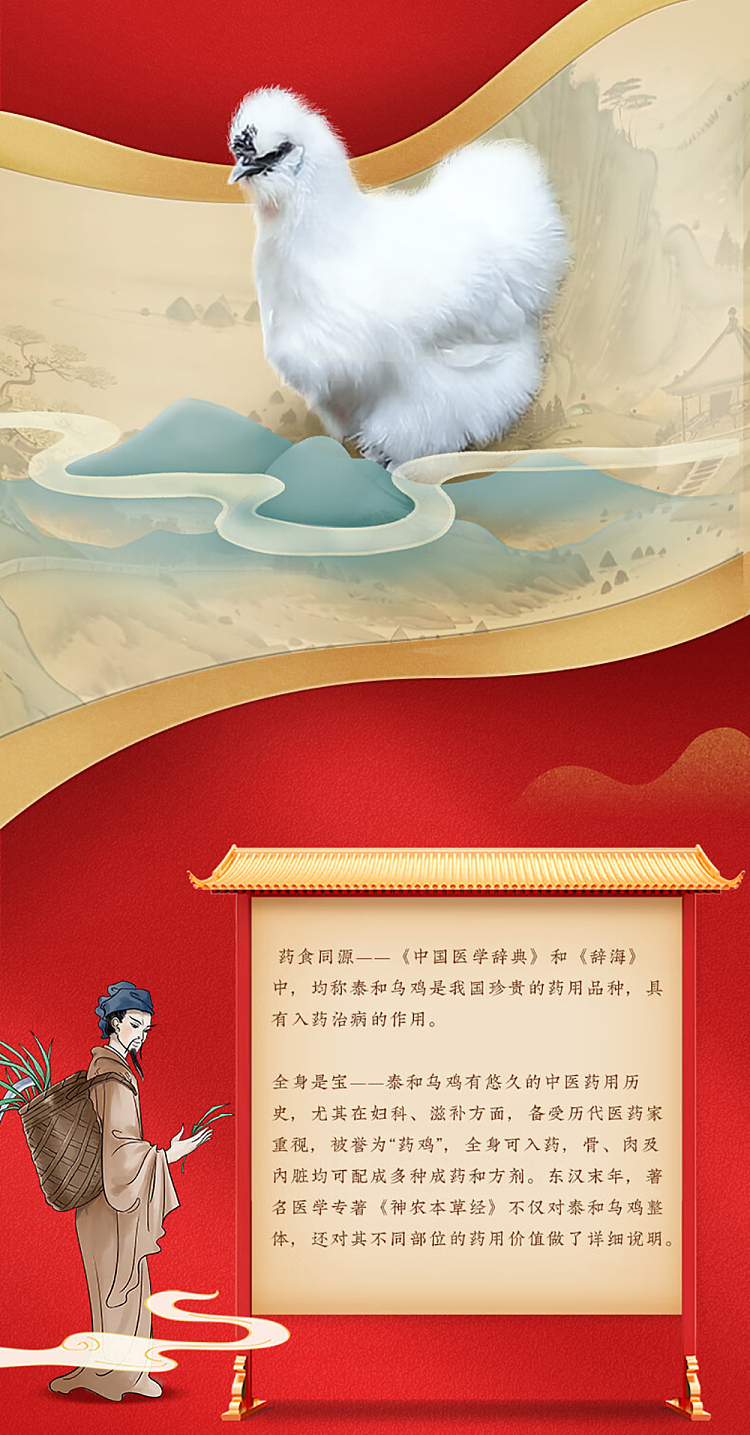half-the-sky-wu-ji-bai-feng-pills-6g8-sachets-5