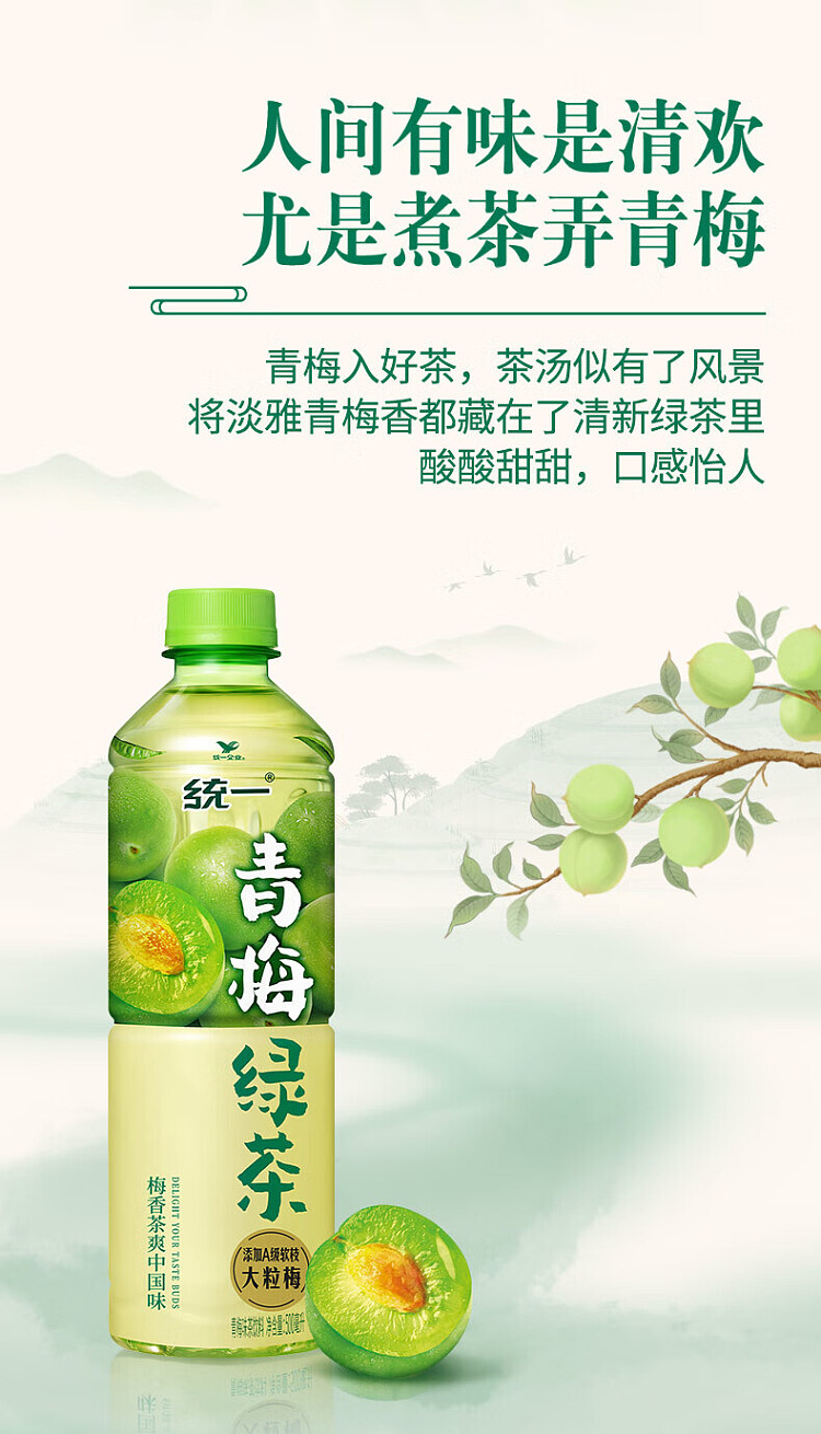 case-master-kang-green-tea-with-qingmei-flavor-500ml15-bottlescase-5