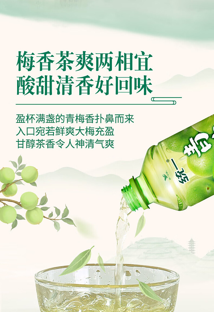 case-master-kang-green-tea-with-qingmei-flavor-500ml15-bottlescase-6