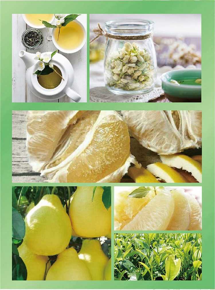 full-casekangshi-jasmine-pomelo-tea-500ml15-bottles-case-6
