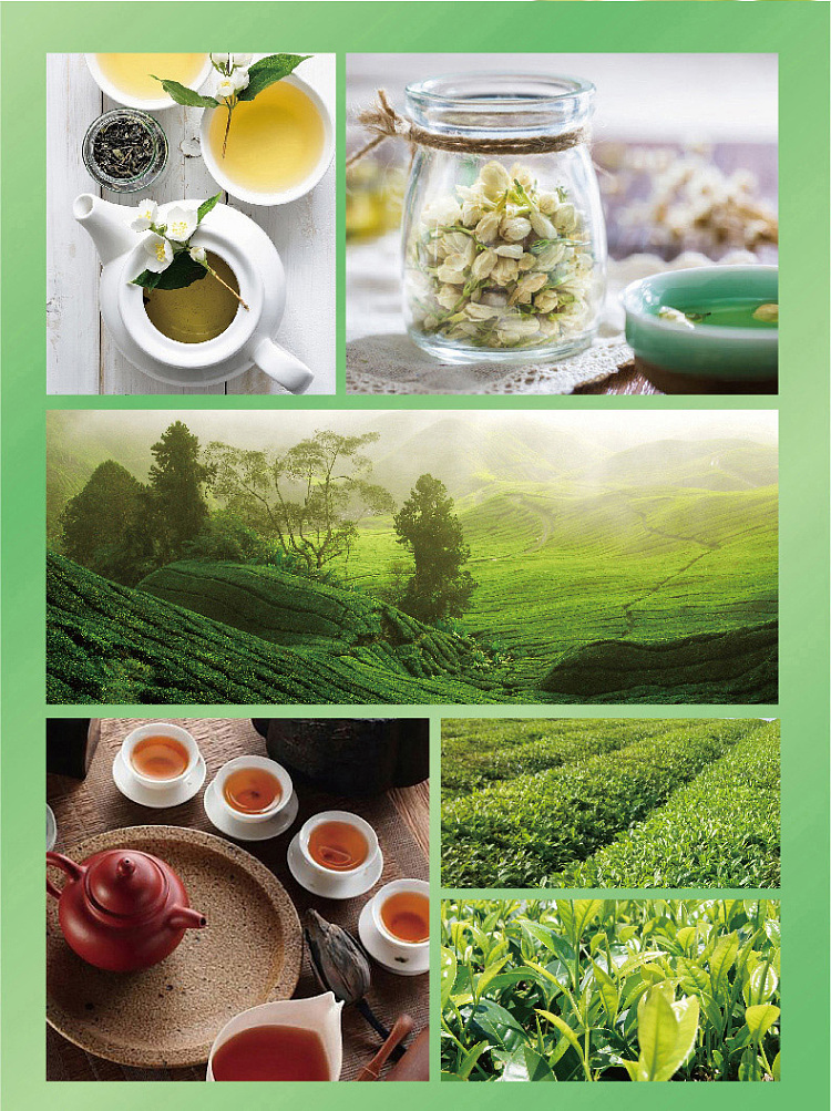 the-whole-case-of-master-kong-jasmine-tea-1l-12-bottles-case-5