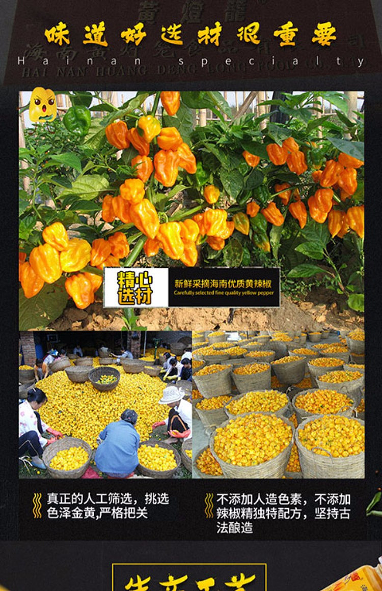 hainan-specialty-yellow-lantern-chili-sauce-100g-7