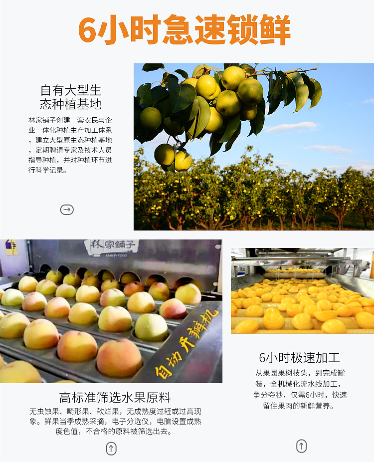 lins-store-canned-pears-in-sugar-water-glass-jar-360g-10