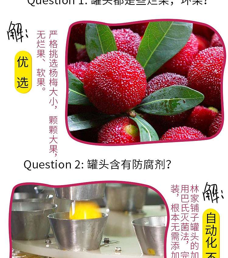 lins-store-canned-plums-in-sugar-water-425g-12