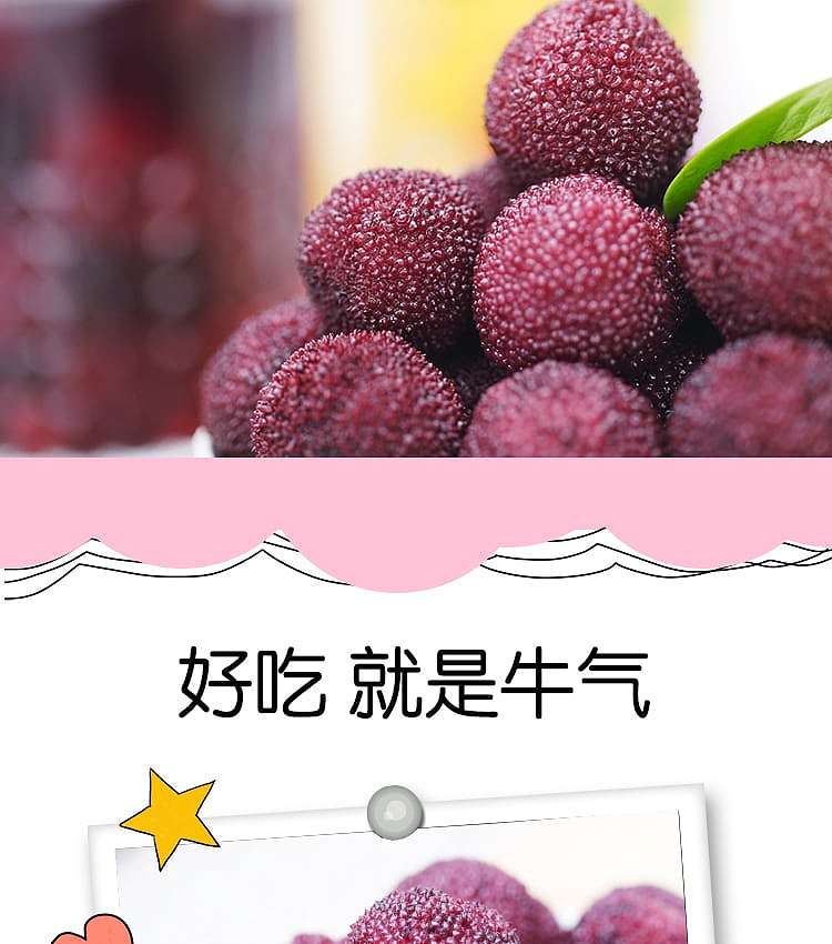 lins-store-canned-plums-in-sugar-water-425g-13