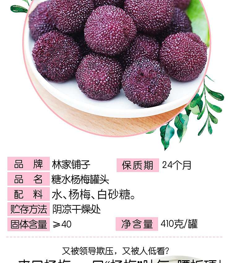 lins-store-canned-plums-in-sugar-water-425g-15