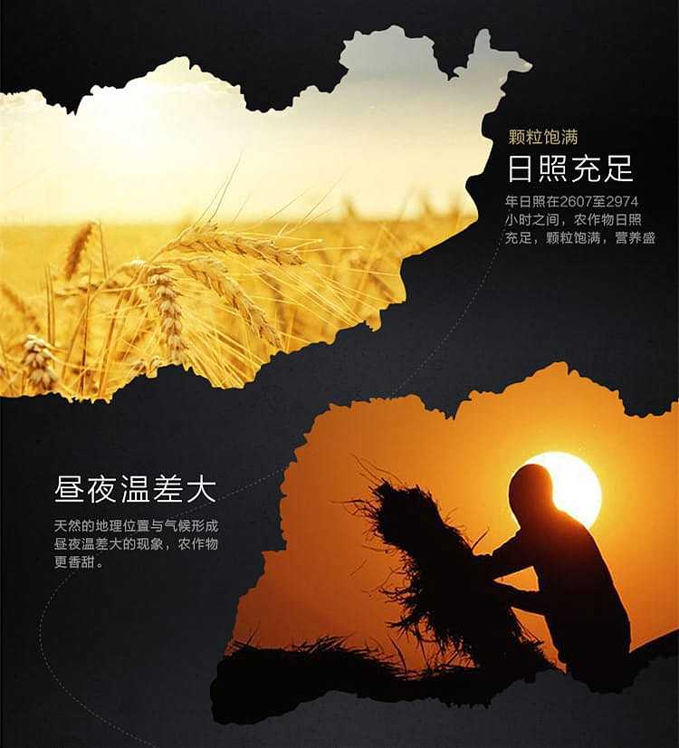 qinzhou-green-food-yellow-millet-25kg-3