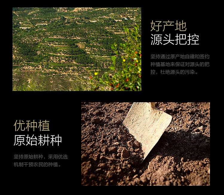 qinzhou-green-food-yellow-millet-500g-9