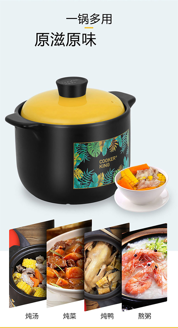 cooks-royal-flavor-ceramic-cooker-4l-2