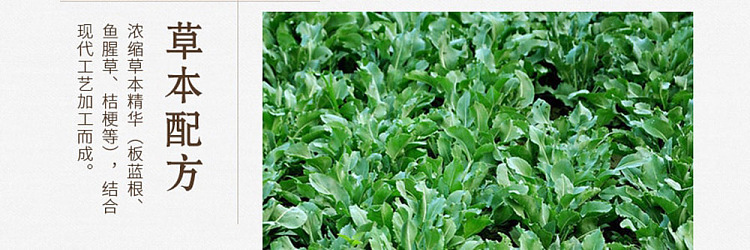old-chinese-medicine-panax-quinquefolium-150g-7
