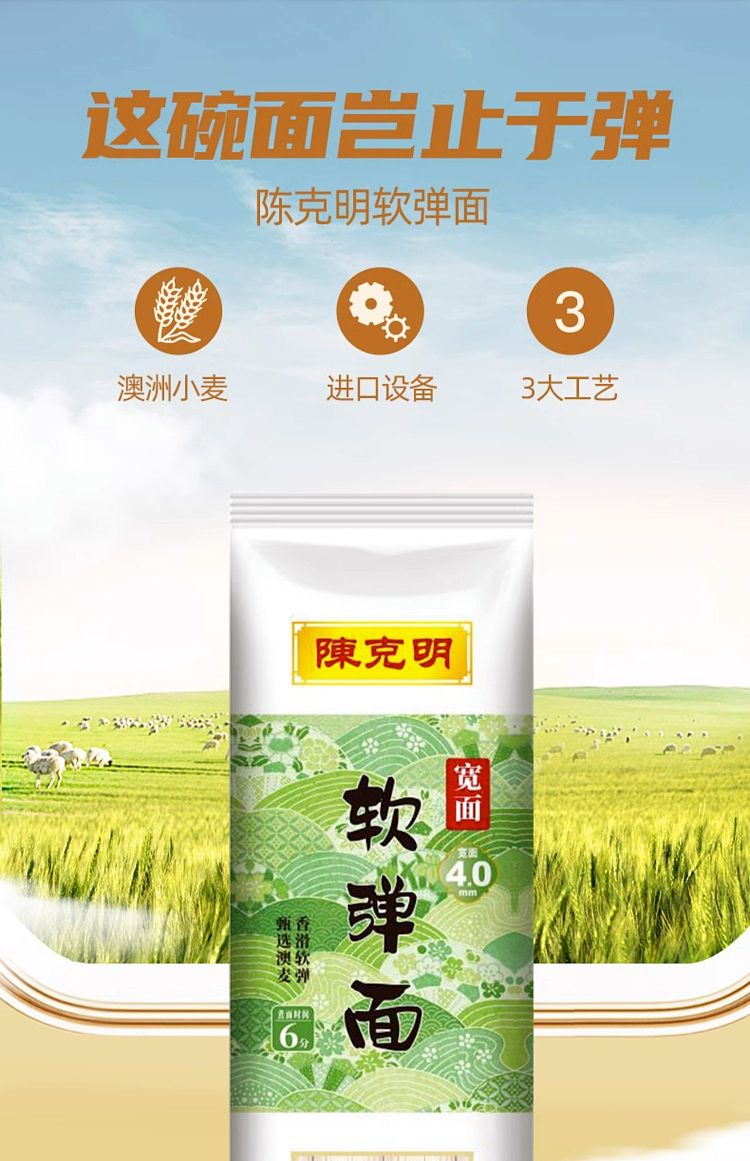 chan-hak-ming-soft-elastic-noodles-lasagna-400g-1