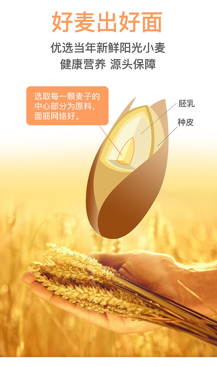 chen-keming-wide-hanging-noodles-900g-7