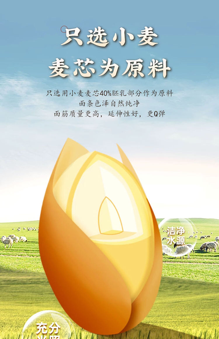 chen-keming-huaxia-soft-bouncy-noodles-100g-3