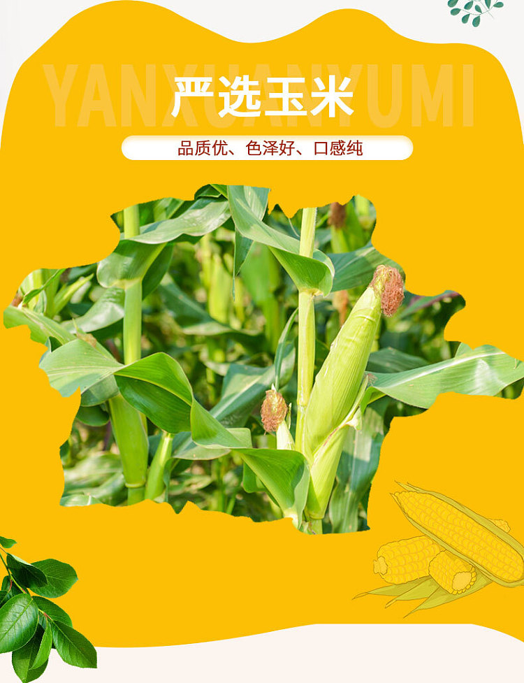 furusato-corn-starch-with-mouth-200g-3