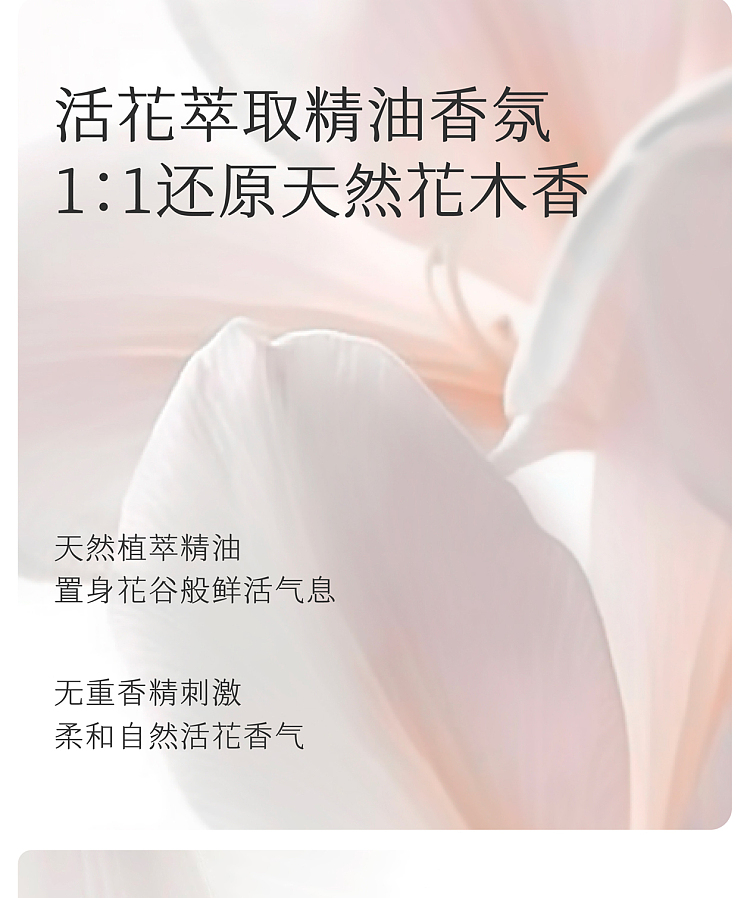 half-acre-flowers-essential-oil-fragrance-body-milk-hollow-rain-mal-250ml-14