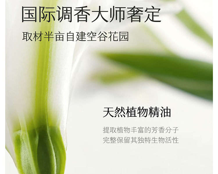 half-acre-flowers-essential-oil-fragrance-hand-cream-hollow-valley-rain-jasmine-50g-5