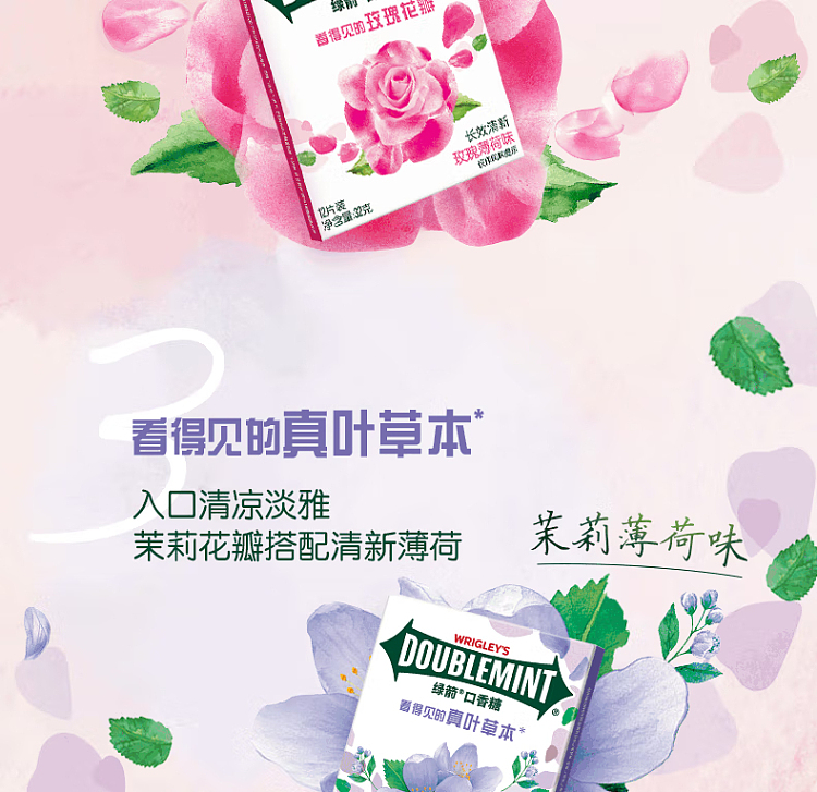 wrigleys-chewing-gum-jasmine-mint-flavor-320g-8