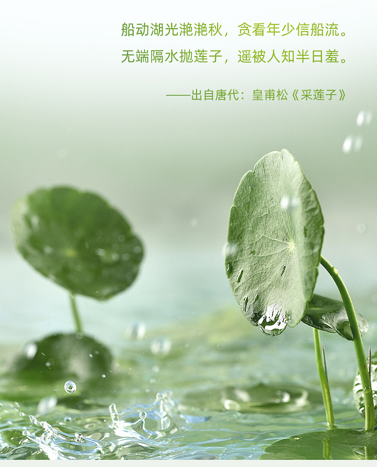 xiduoduo-fresh-stewed-osmanthus-lotus-seed-200g-4