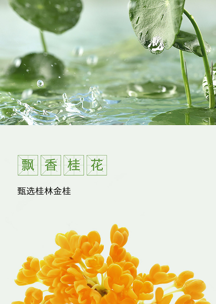 xiduo-cinnamon-fresh-stewed-lotus-seeds-200g12-4