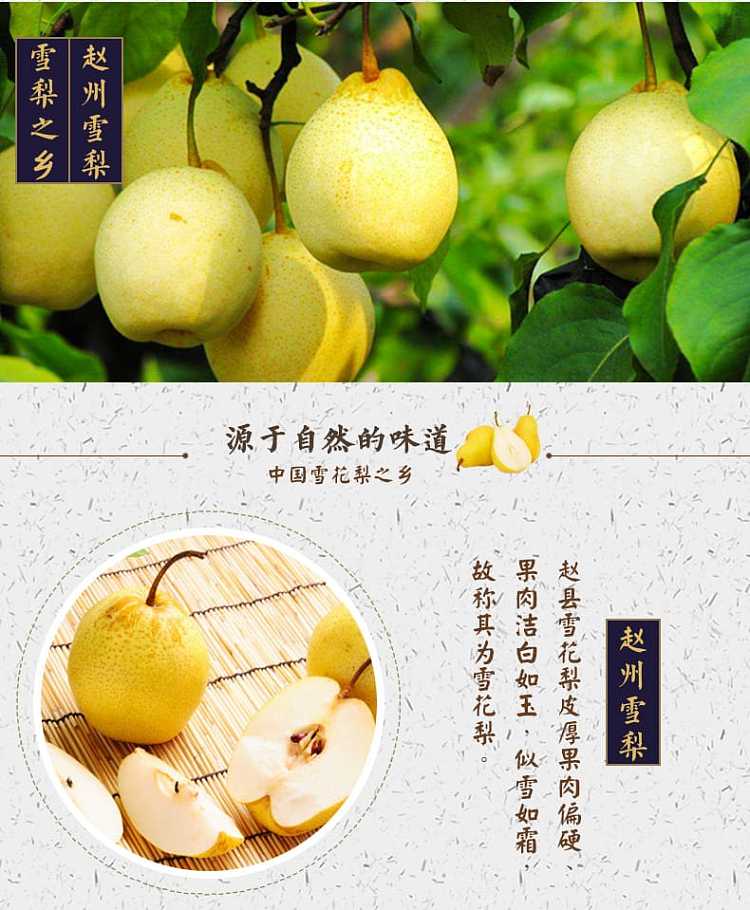 enjitang-lungs-and-autumn-pear-paste-350g-3