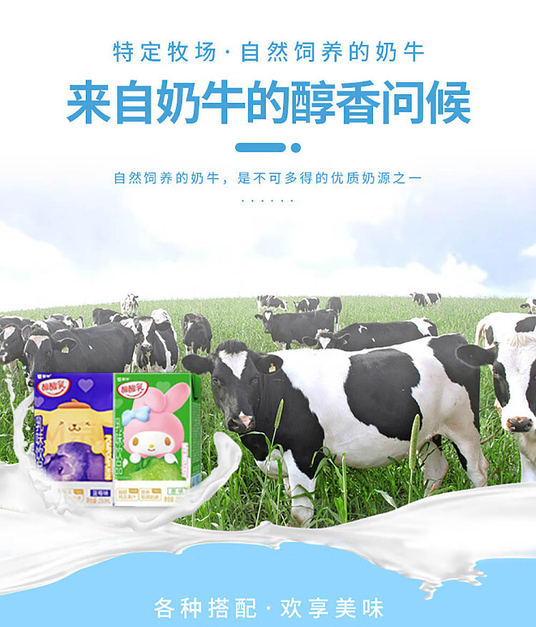 mengniu-sour-milk-milk-drink-original-250ml-3