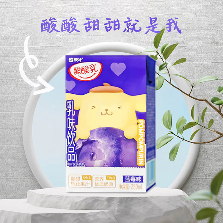 mengniu-yogurt-yogurt-milk-drink-blueberry-flavor-250ml-4