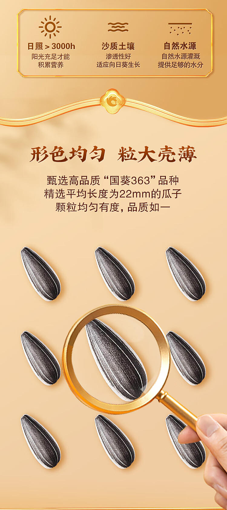au-exclusive-sams-choice-qiaqia-premium-sunflower-seeds-750g-7