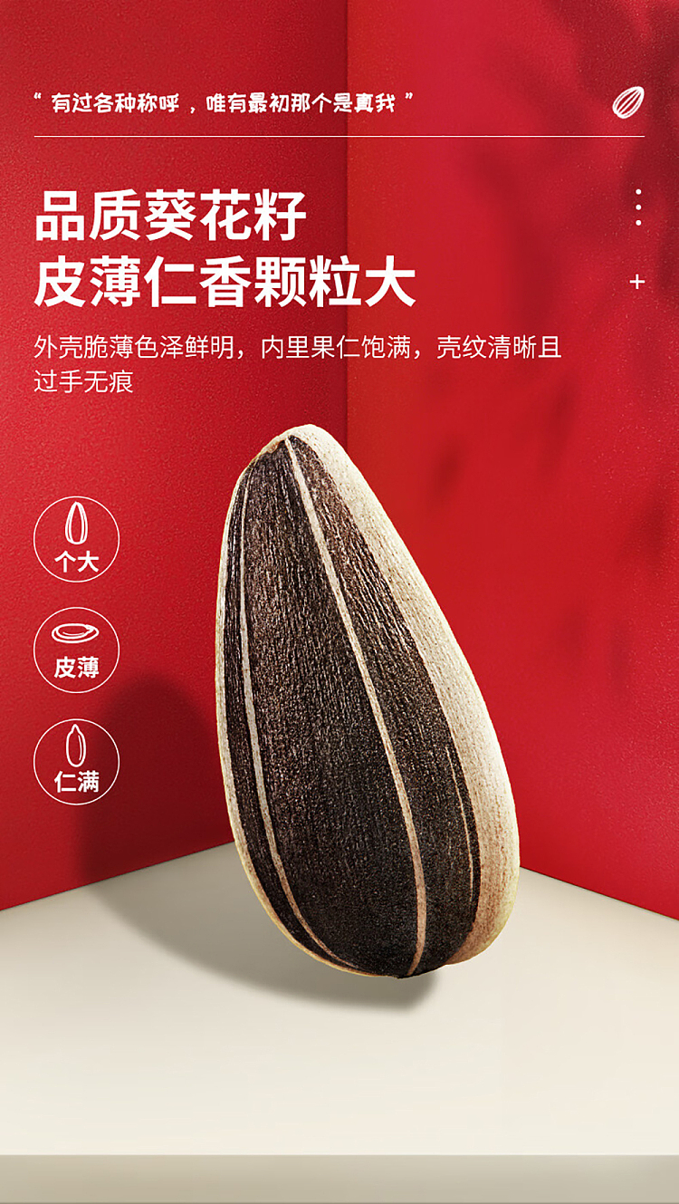 qiajia-spiced-melon-seeds-260g-5