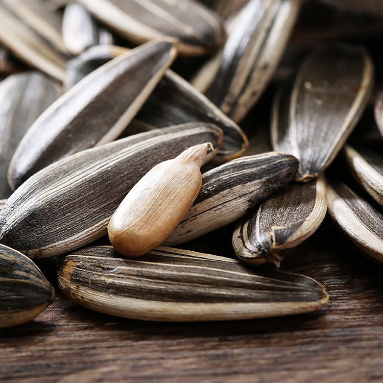 qiajia-spiced-melon-seeds-260g-2