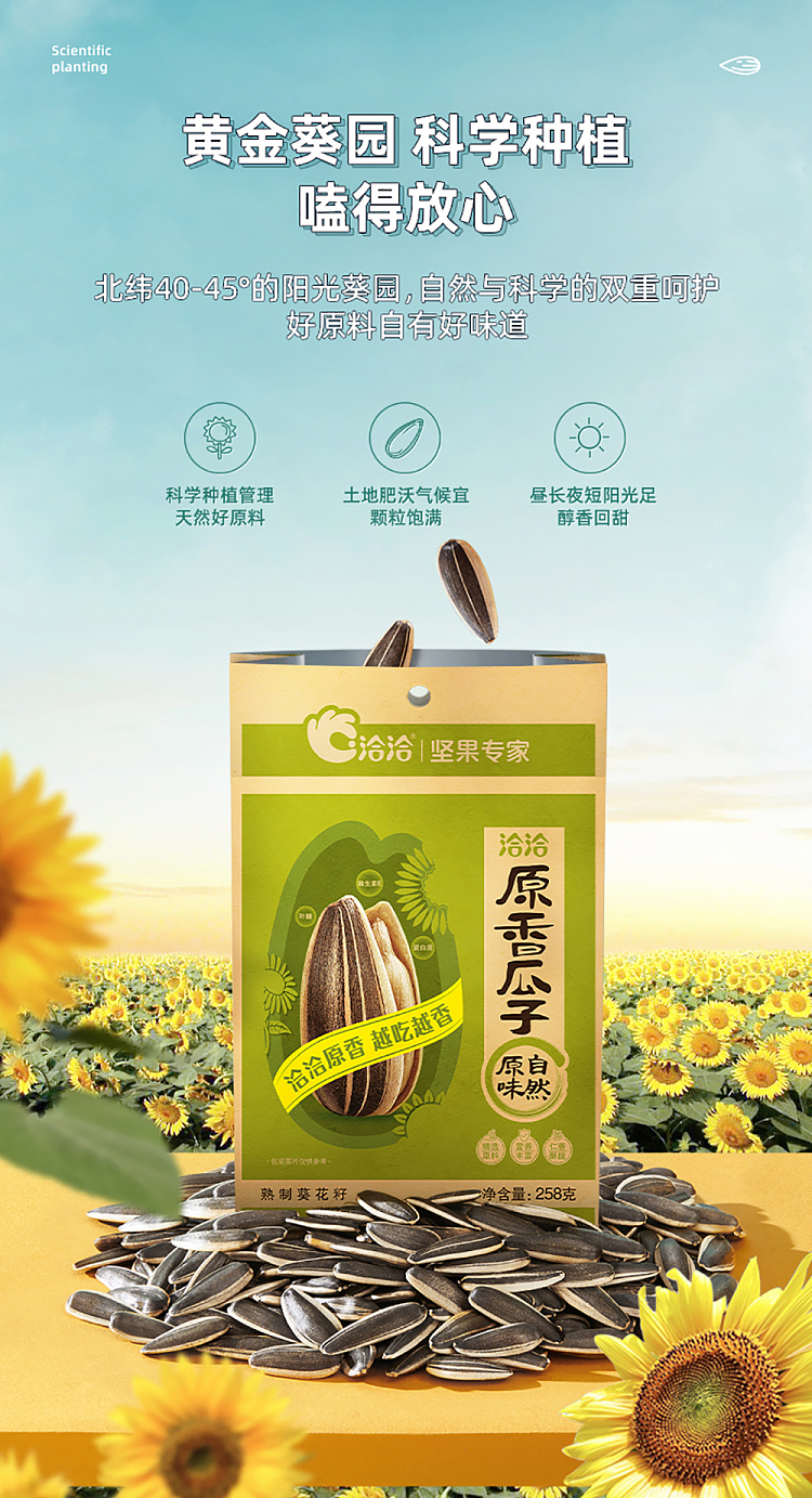 qiajia-original-flavor-melon-seeds-258g-4