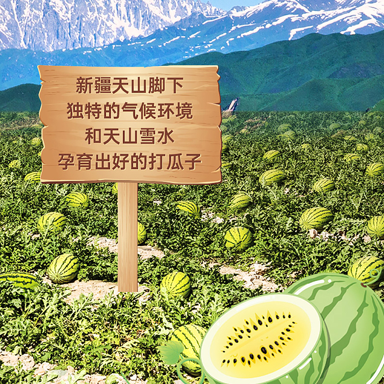 qiajia-small-and-fragrant-watermelon-seeds-savory-flavor-180g-5