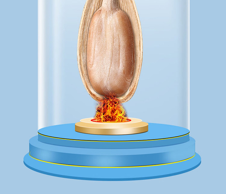 qiajia-multi-flavored-melon-seeds-230g-5