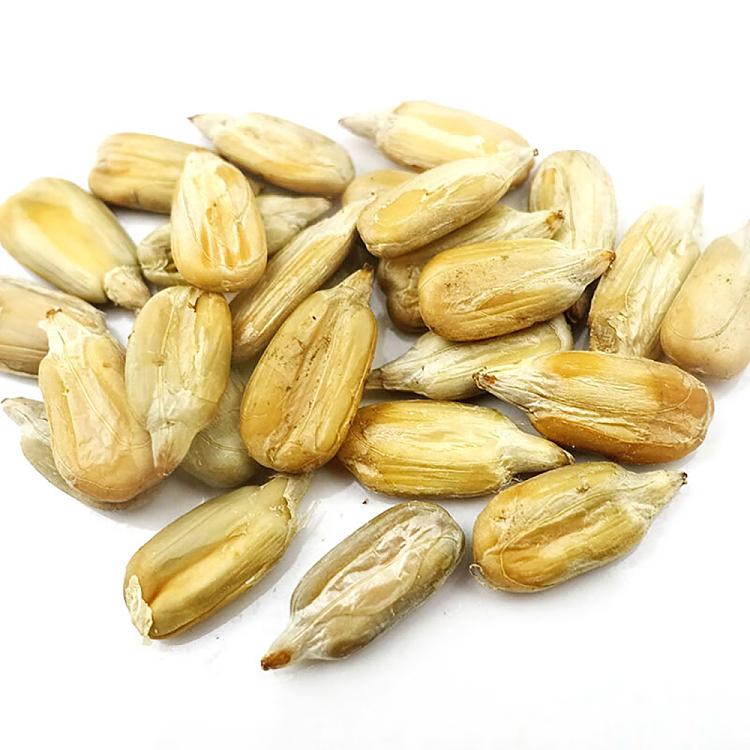 qiajia-multi-flavored-melon-seeds-230g-3