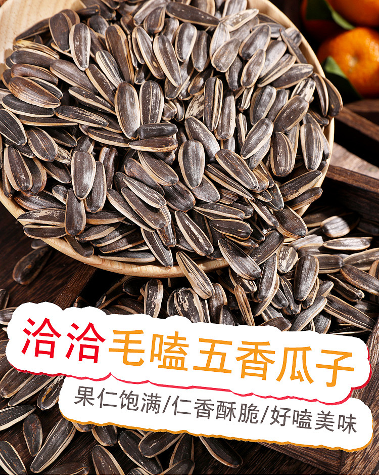 qiajia-mao-knock-five-spice-melon-seeds-450g-1