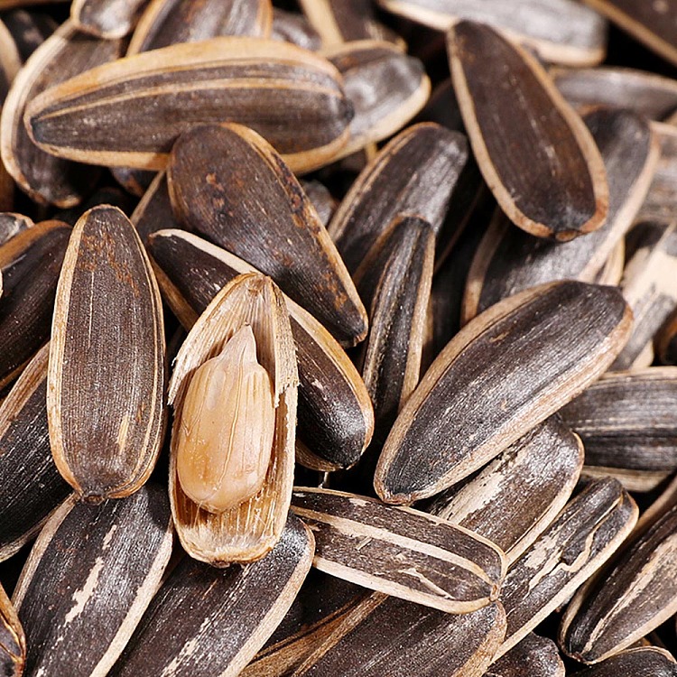 qiajia-mao-knock-five-spice-melon-seeds-450g-3