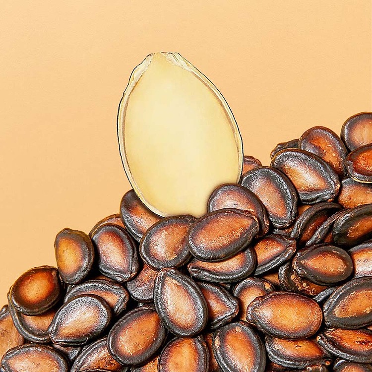 qiajia-saliva-plum-flavor-watermelon-seeds-120g-4