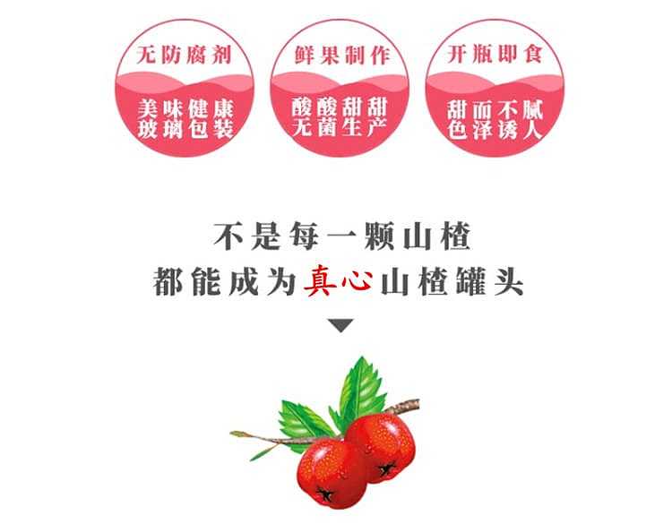 true-heart-canned-hawthorn-880g-4