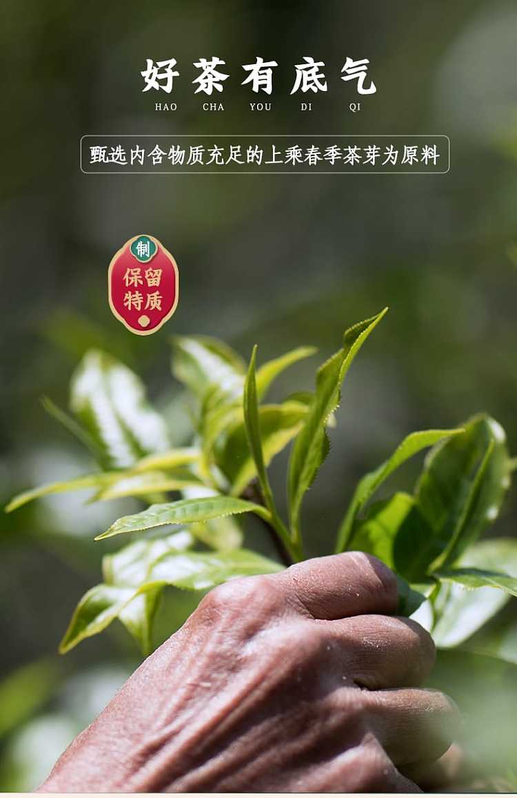 tea-sharing--rongs-2021-yun-bai-tea-100g-4