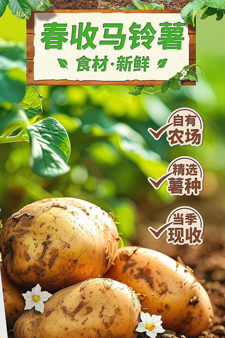 lays-potato-chips-fresh-cucumber-flavor-60g-3