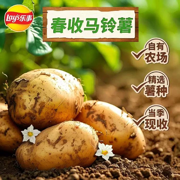 lays-potato-chips-fresh-cucumber-flavor-60g-2