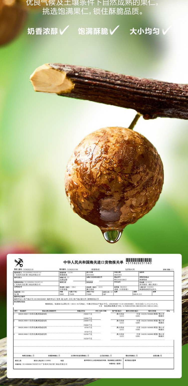 nuthing-probiotics-macadamia-nut-lemon-basil-flavor-600g-sams-replacements-4