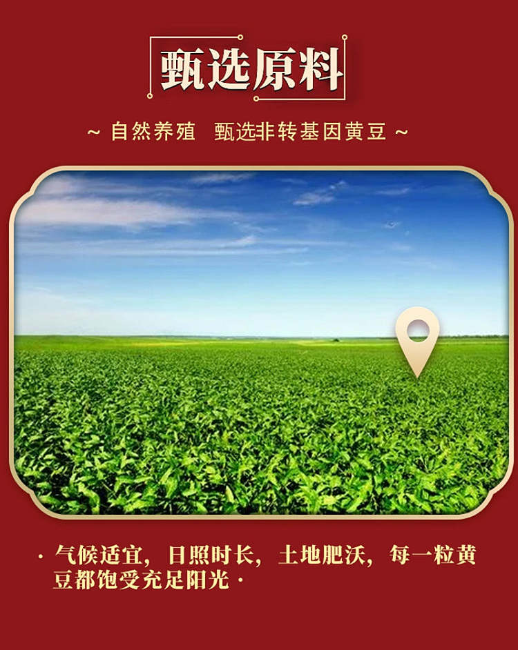 wu-xian-zhai-nutritional-dried-beans-spicy-flavor-20g20pcs-2