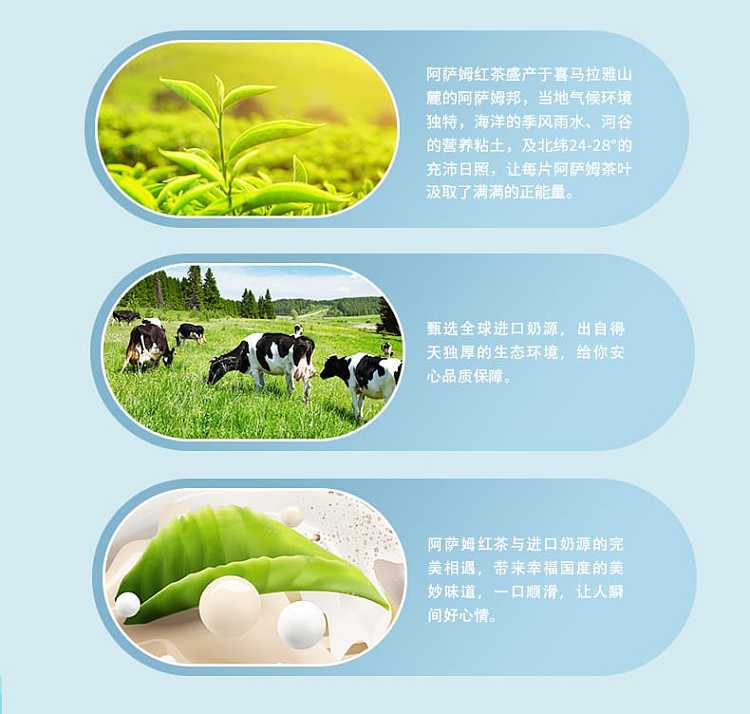 full-caseunification-assam-milk-tea-500ml15-bottles-case-2