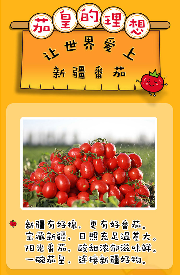full-caseunification-eggplant-king-tomato-egg-noodles-116g56-cases-3