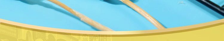 pekingese-tiger-cake-taro-paste-meat-floss-flavor-1kg-10