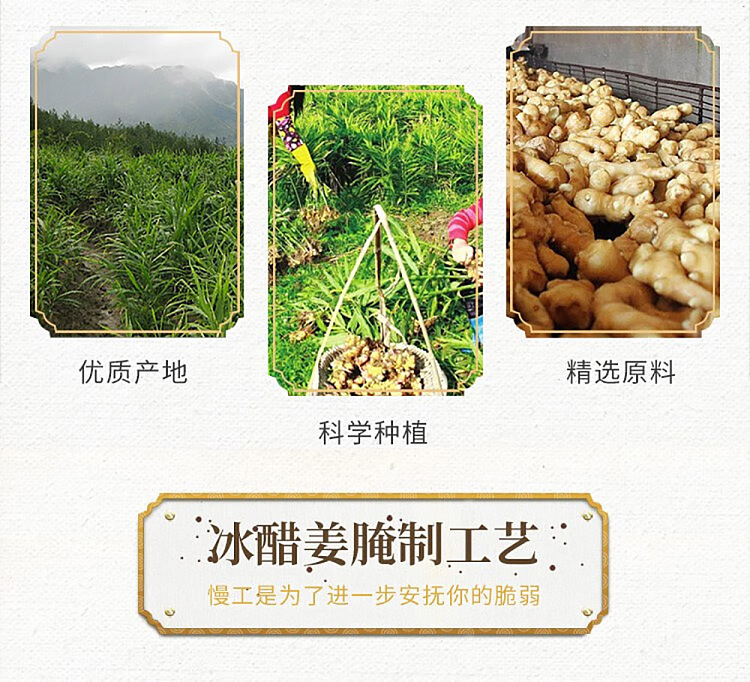 shiojirushi-ice-vinegar-ginger-230g-4